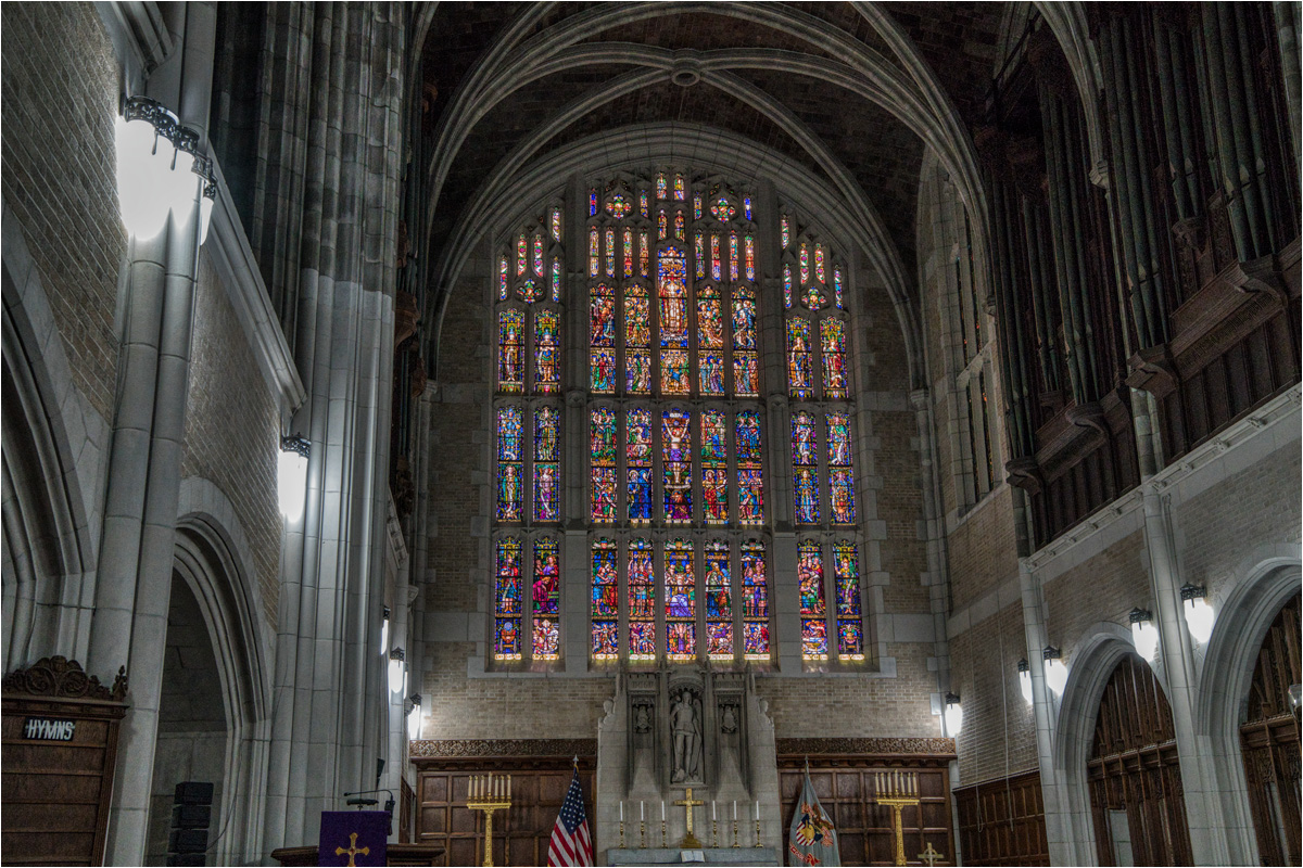 Gene Cangiani